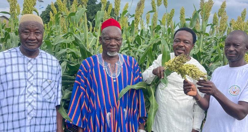 Food and mining in Ghana